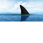 The BoydSharky Squad