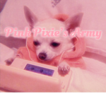 Pink Pixie’s Army