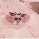 Oops Army
