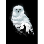 The Order Of The Phoenixx