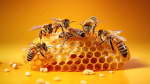 Honeycomb party