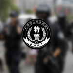 Special Police Brigade of Tongjiang County Public