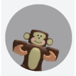 Monkey Team 2022
