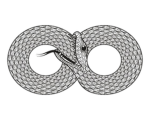 Uroboros 蛇