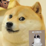 Epic Doge Games :D