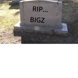 GET NOOG BIGZ