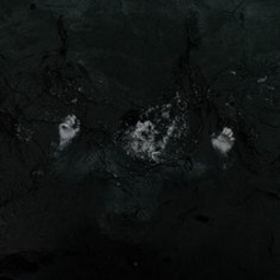 ᴛᴏ ᴅɪᴇ