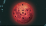 Tsuki Online