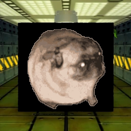 Dancing Pug Meme In Area 51