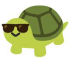 The Kool Turtle