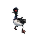 Pigeons Of Robloxia