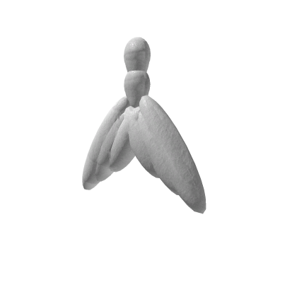 adasa