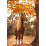 Campfire Springs Stables<3