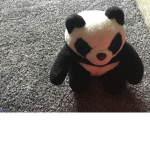 Panda team