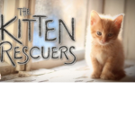 Kitten rescuers