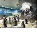 #OMEGA ELITE PENGUIN LORDS AND GODS