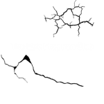 The Epic Frog Fan Club