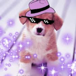 | The Puppy Squad |