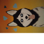 huskys club.
