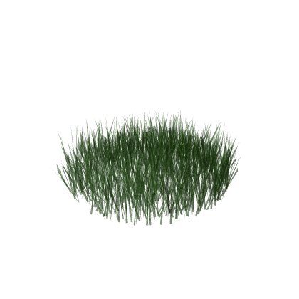 Overgrown Grass