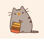 Pusheen Cafe <3