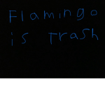 Flamingo is the worst person ever