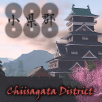 Chiisagata District, Shinano Province