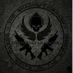Task force 252