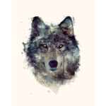 TheOnlyWolfPack