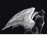Animals For Life <3