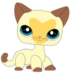 LPS Fan Club :D