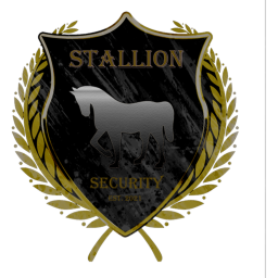 Stallion Academy