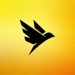BoundLess Gaming