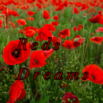 【Red’s Dream’s】