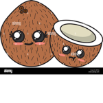 Kawaii coconut’s