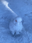 IWK4_01