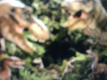Dinosaurs and raptors