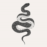 Mighty Snakes "Cobras"