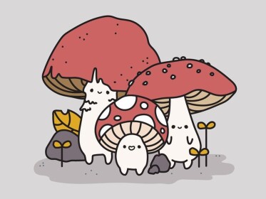 Mushroom 