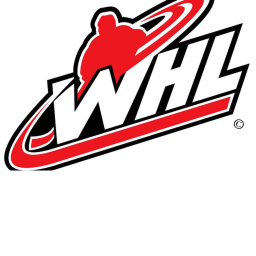 Warriors Hockey League Rec center