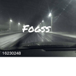 .fogss