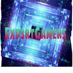 Exp3rtGamer’s