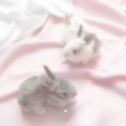 ੭🥛୧