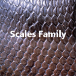 Scales Family