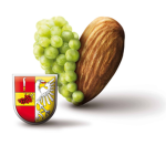 RP Hustopeče
