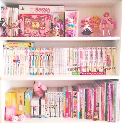 manga shelf 1 Roblox decal