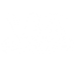 Volt Software