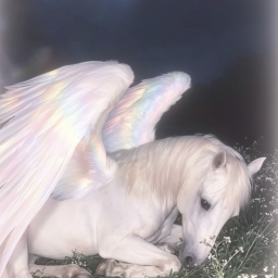 ♡