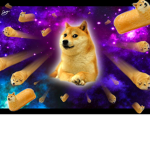 Doge CommonWealth