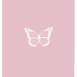 AestheticSrawberry